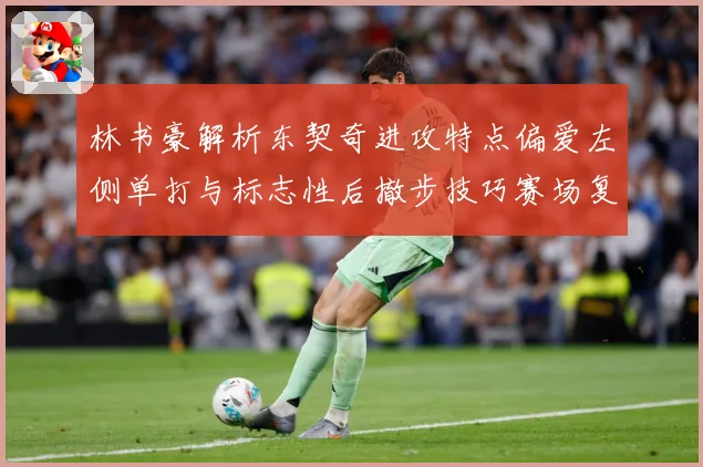 林书豪解析东契奇进攻特点偏爱左侧单打与标志性后撤步技巧赛场复盘