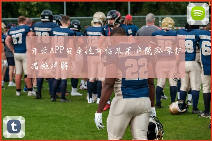开云APP安全性评估及用户隐私保护措施详解