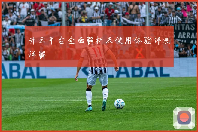 开云平台全面解析及使用体验评测详解