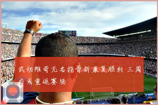 武切维奇无名指骨折康复顺利 三周内或重返赛场