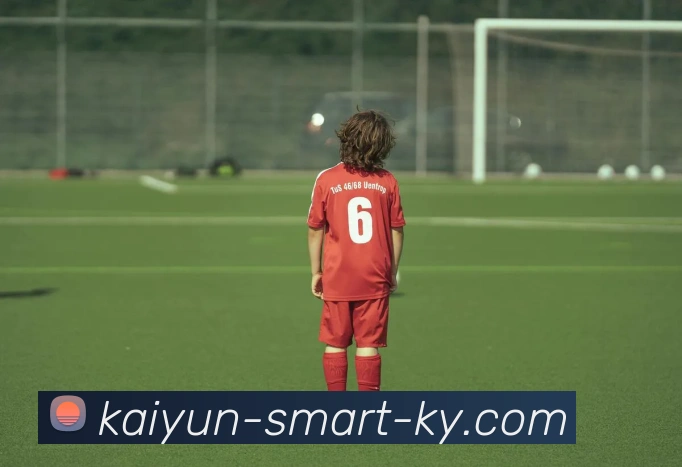 开云平台生态图